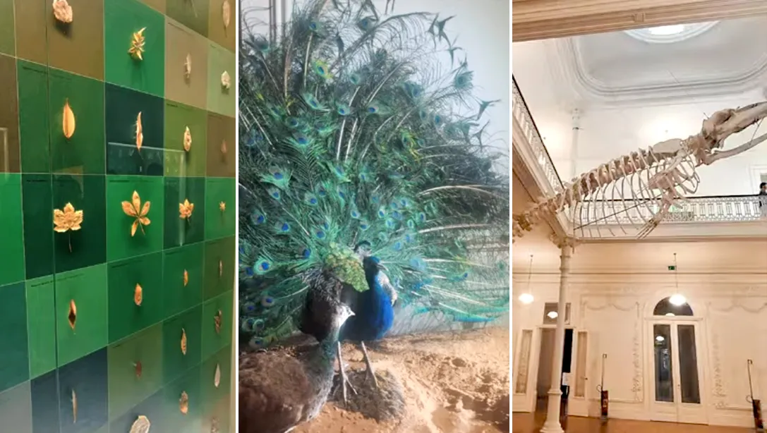 Visita de Estudo Jardim Botânico e Casa Andresen